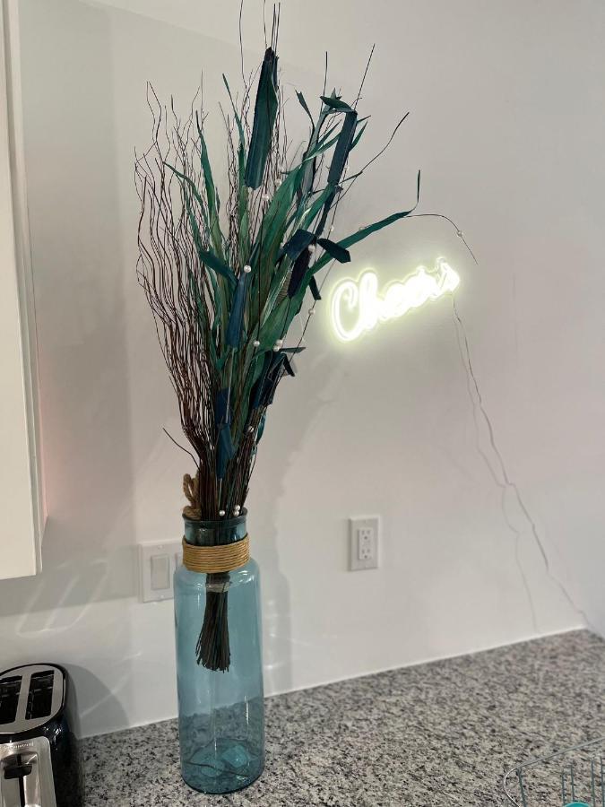 Apartamento Luxurious Apt With Free Parking Mins Away From South Beach And Wynwood Miami